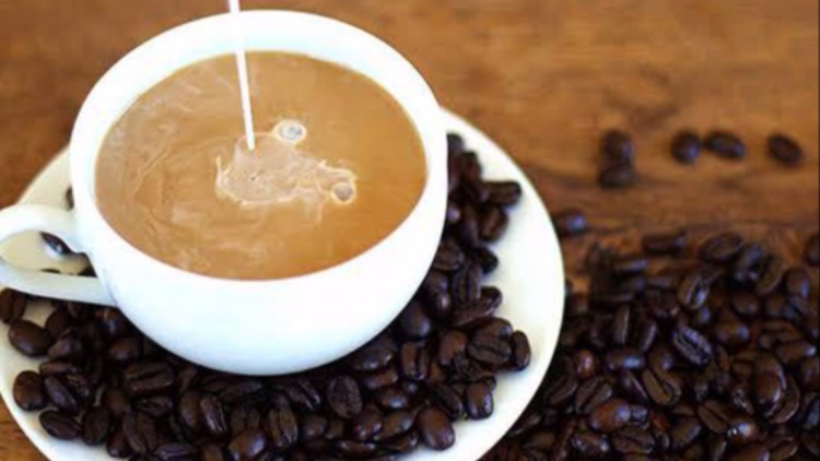 SÜTLÜ NESCAFE